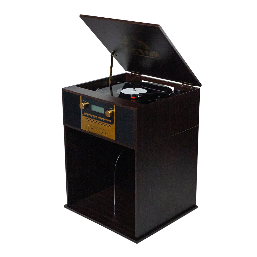 Boyleston
7-in-1 Turntable Music Center